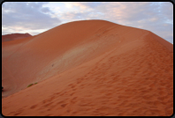 Die begehbare Dne direkt am Sossusvlei