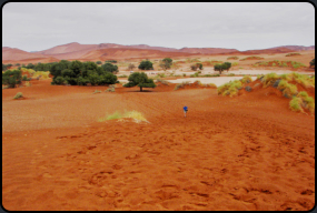 Auf dem Weg zur Dne direkt am Sossusvlei