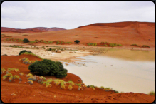 Das Sossusvlei mit See