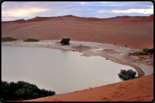 Das Sossusvlei mit See