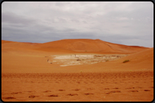 Blick auf das Deadvlei