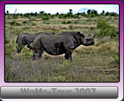 WoMo-Tour 2007      WoMo-Tour 2007