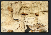 Toadstool Hoodoos