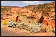 Die Burr Trail Road