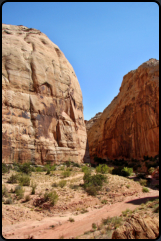 Der Capitol Gorge Trail