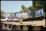 Trocknen der Wsche in der Open-Air-Wscherei Mahalaxmi Dhobi Ghat