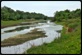 Flulauf im berschwemmungsgebiet