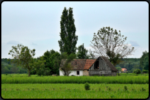 Bauernhof in der Nhe von Čigoć;