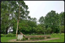 Ein Ziehbrunnen auf einer Kuhweide