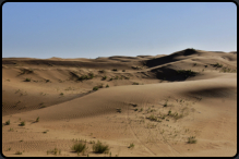 Blick ber die Sanddnen