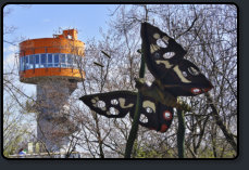 Baumkronenpfad, Besucherturm, Schmetterling aus Holz