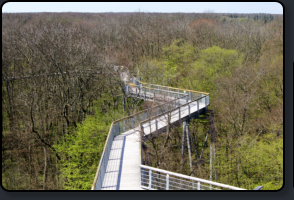 Baumkronenpfad vom Besucherturm