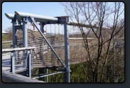 Baumkronenpfad, Seilbrcke mit hngenden Holzpegel