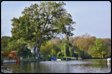 Der Domstreng, ein Seitenarm der Havel