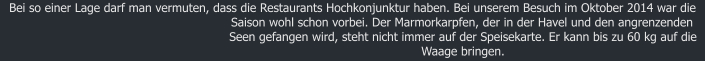 Bei so einer Lage darf man vermuten, dass die Restaurants Hochkonjunktur haben. Bei unserem Besuch im Oktober 2014 war die Saison wohl schon vorbei. Der Marmorkarpfen, der in der Havel und den angrenzenden Seen gefangen wird, steht nicht immer auf der Speisekarte. Er kann bis zu 60 kg auf die Waage bringen.