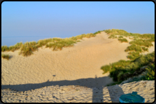 Nordseestrand bei Renesse