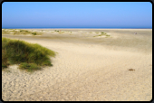 Nordseestrand bei Renesse