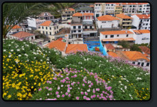 Blick vom Ilheu-Felsen auf Cmara de Lobos