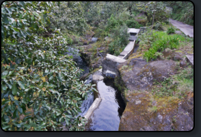 Abzweig des Levada do Furado vom Bach Ribeiro Frio