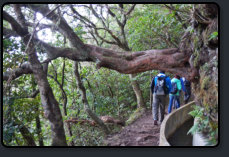 Die Wandergruppe auf dem Wanderweg Levada do Furado