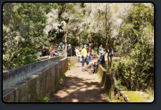 Eine Wandergruppe macht Rast auf dem Wanderweg Levada do Furado