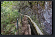 Wanderweg Levada do Furado