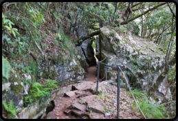 Wanderweg Levada do Furado