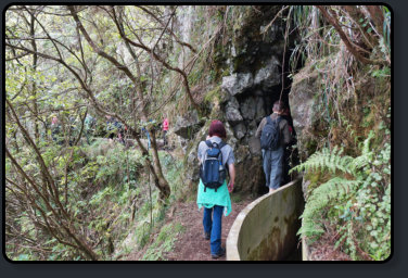 Die Wandergruppe auf dem Wanderweg Levada do Furado