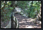 Der Wanderweg Levada do Furado