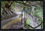 Der Wanderweg Levada do Furado