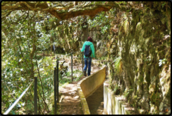 Der Wanderweg Levada do Furado