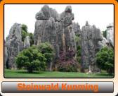 Steinwald Kunming       Steinwald Kunming