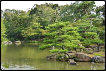 Blick ber den See am Goldener Tempel