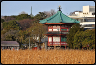 Benzaiten-Schrein im Ueno-Park