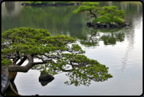 Im Shukkeien Garten