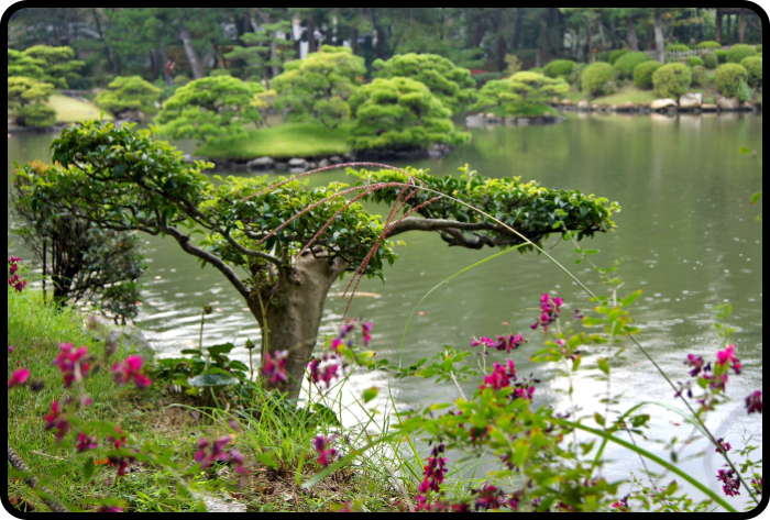 Shukkeien Garten