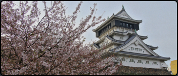 Kirschblte am Kokura Castle
