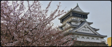 Kirschblte am Kokura Castle
