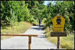 Weg zum Leuchtturm im Nationalpark