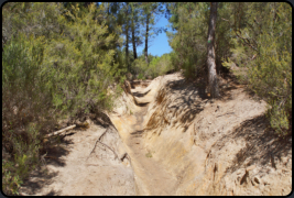 Wanderweg durch die Ockerbrche