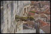 Wasserspeier von der Dachterrasse des des Schlo Tarascon