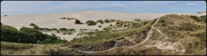 Blick auf die Wanderdne Rubjerg Mile