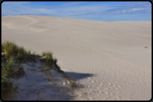 Auf der Wanderdne Rubjerg Mile