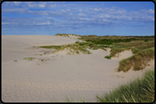 Auf der Wanderdne Rubjerg Mile