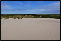 Blick von der Wanderdne Rubjerg Mile zum Parkplatz