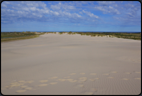 Auf der Wanderdne Rubjerg Mile