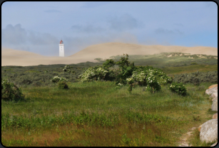 Blick auf die Dne "Rubjerg Knude"