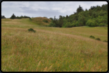 Landschaft auf dem Weg zum Inlandrotstein