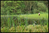 Ein Weiher auf dem Weg zum Inlandrotstein