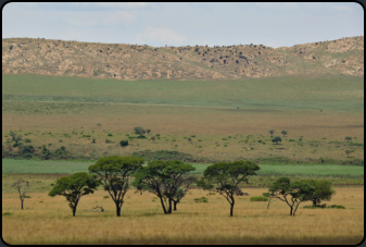 Landschaft im Kgaswane Natur-Reservat